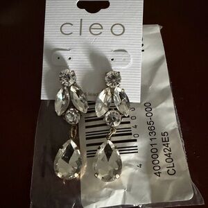 Cleo Sparkling Silver Teardrop Earrings